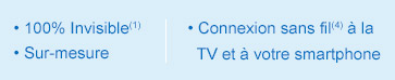 100% invisible