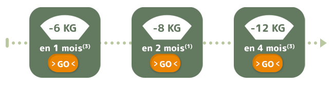 -6 kg en 1 mois / -8kg en 2 mois / -12kg en 4 mois